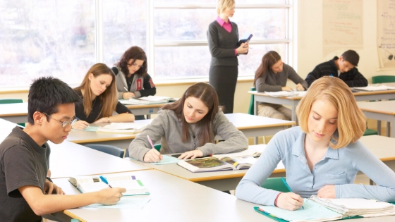 students studying 